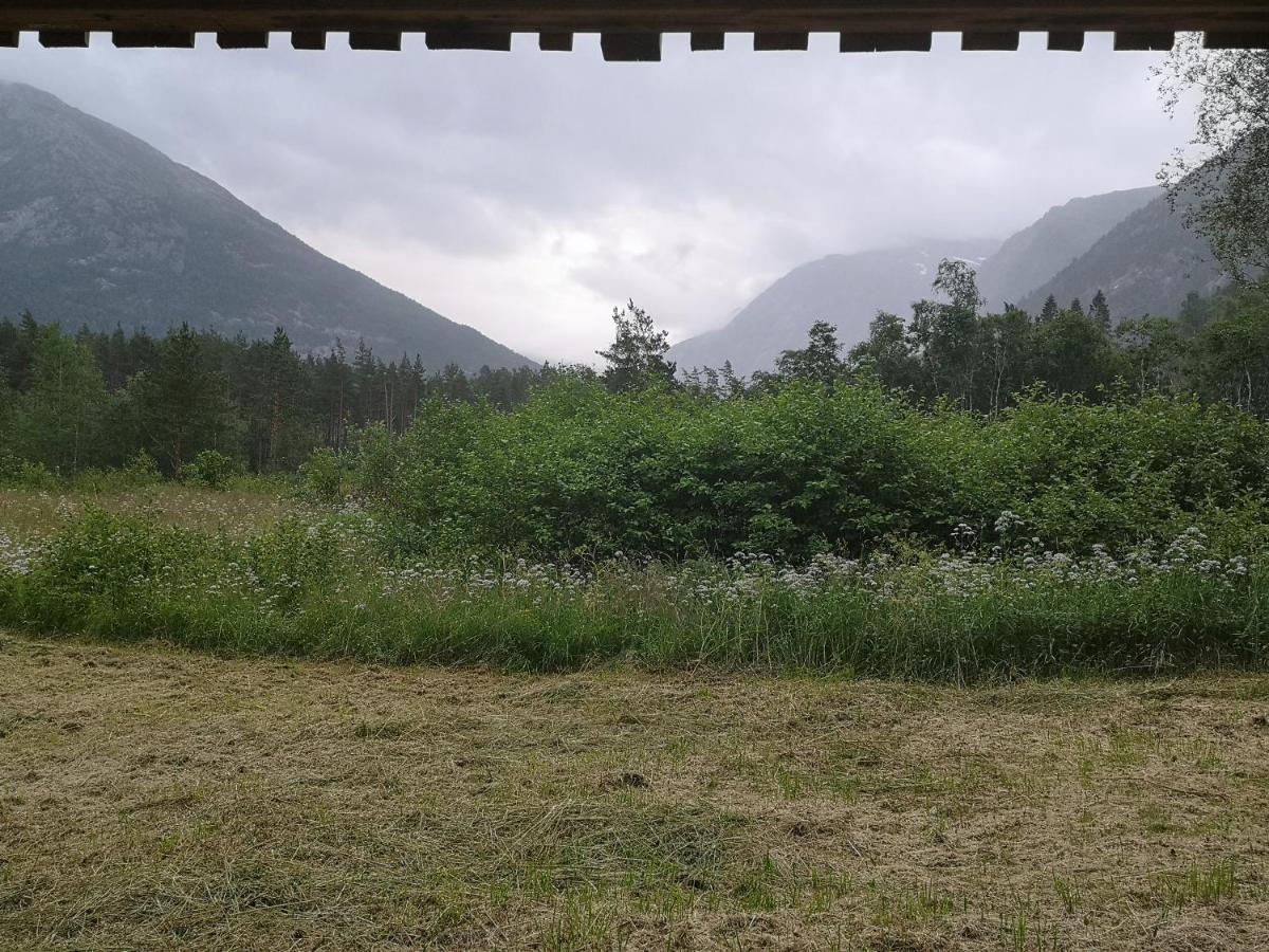 Kinsarvik Hostel Dış mekan fotoğraf
